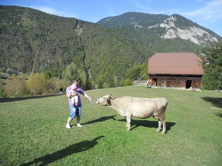 Pensiunea Casa Dobre Măgura Eksteriør billede